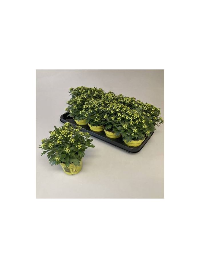 hlavná fotografia produktu