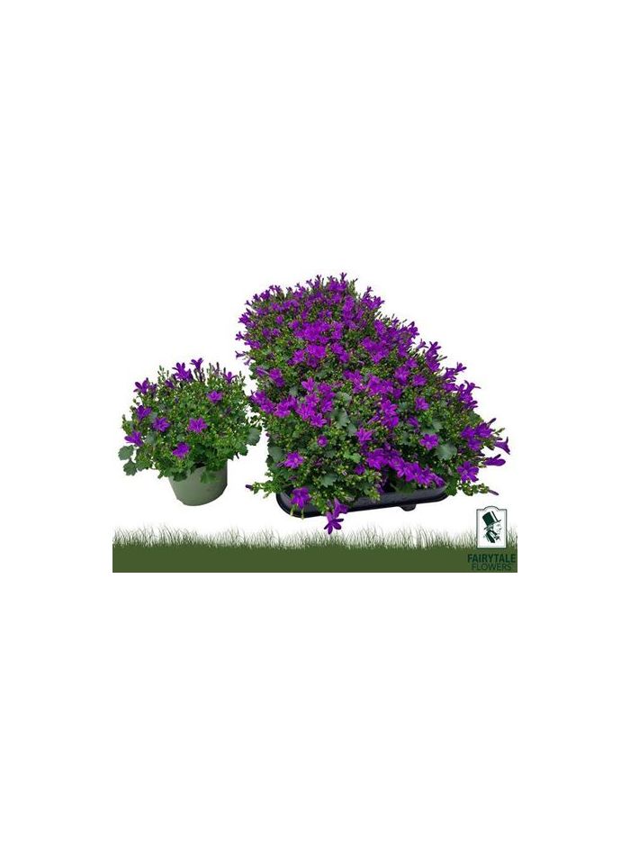 hlavná fotografia produktu