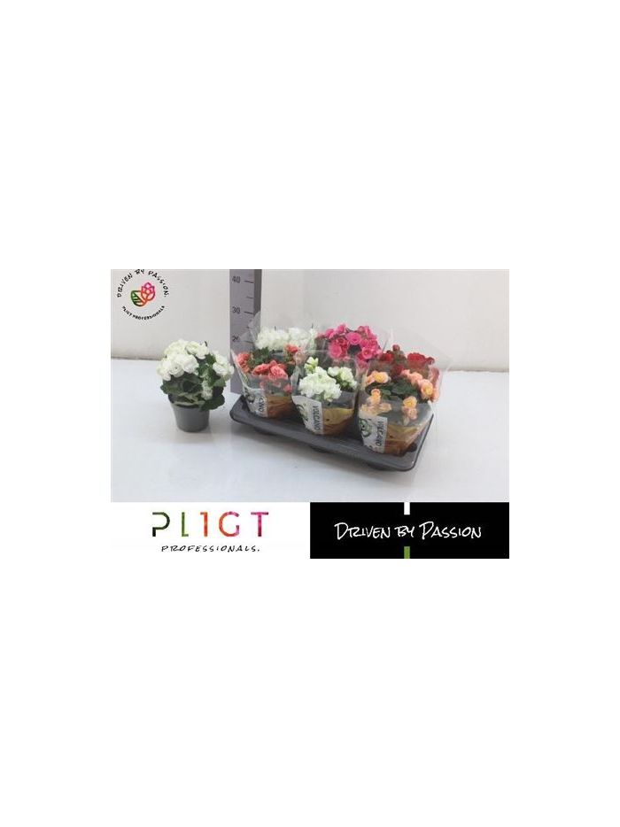 hlavná fotografia produktu