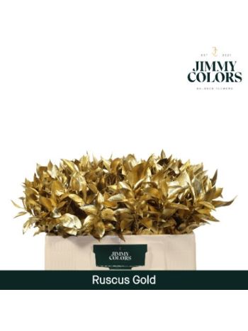 RUSCUS OV KLB H% - GOLD