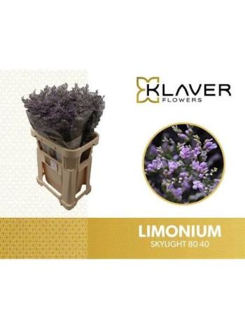 LIM OV SKYLIGHT 80CM