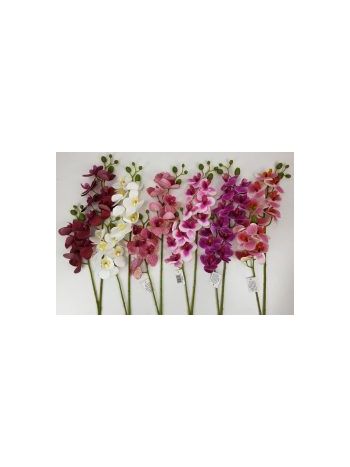 Szálas orchidea 20559