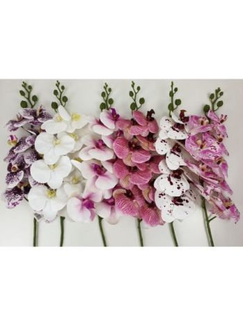 Orchidea ág    (30 db/#)