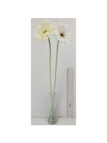 20613 Szálas gerbera
