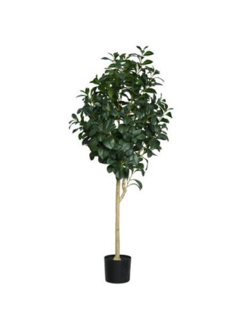 150 cm-es cserepes zöld