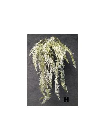 PÁFRÁNY FUTÓ 25696