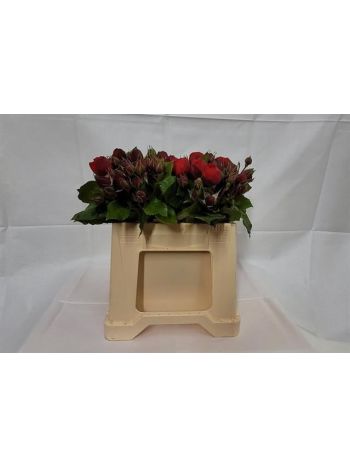 R TR PIANO FREILAND 60CM