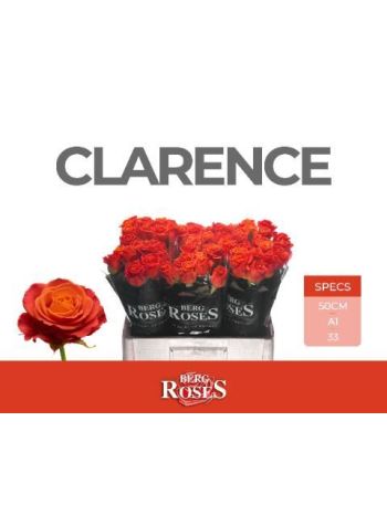 R GR5 CLARENCE+