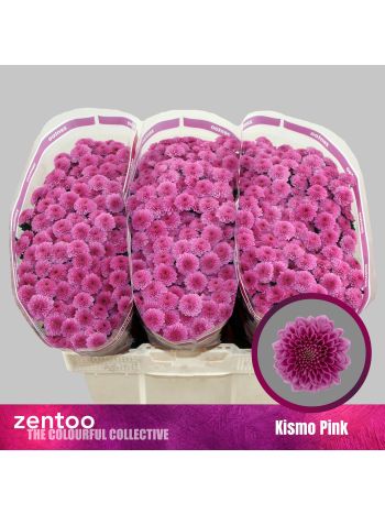 CHR SAN KISMO PINK
