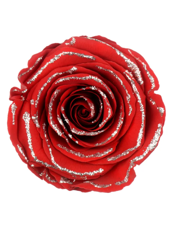 ZZ A TARTÓSRÓZSA LL. GLITTER RED 02 EZÜST