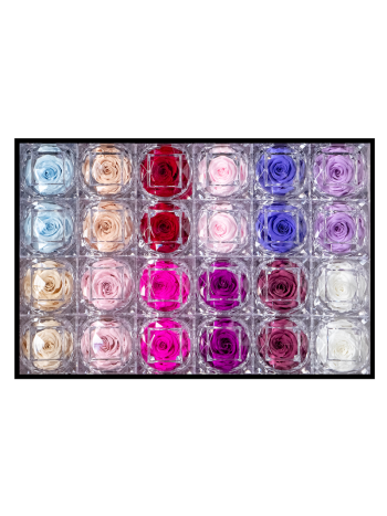 ZZ A TARTÓSRÓZSA JEWEL MIX PASTEL