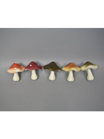 Gomba gumi vargánya 5-3x5-7cm