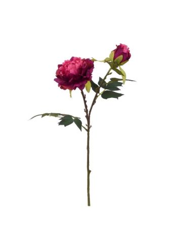 Selyemvirág fodros peonia szálas 52 cm bordó DD61260