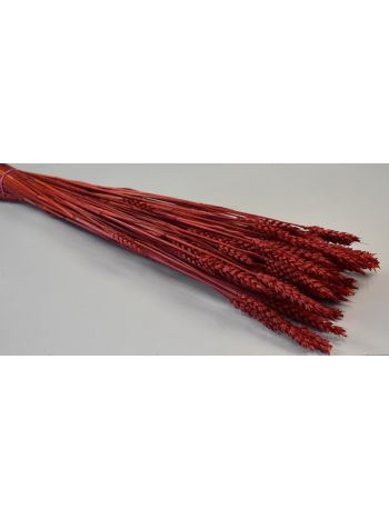 Búza tar 150g piros