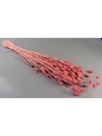 Fénymag 100g feh.rózsaszín