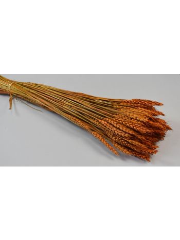 Búza tar 150g narancs