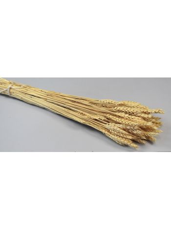 Búza tar 150g fehérített