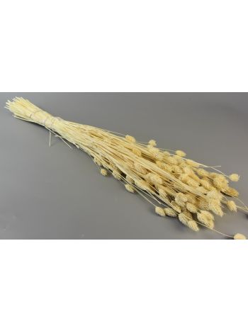 Fénymag 100g fehérített