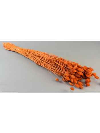 Fénymag 100g feh.narancs