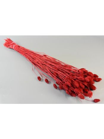 Fénymag 100g feh.piros