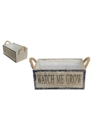 Punch Rope Ears Watch Me Grow 140-W-607 - 27*15*H12cm (15/#)