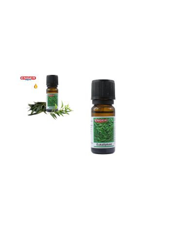 Essential oil 10ml Eucalyptus (25/#)