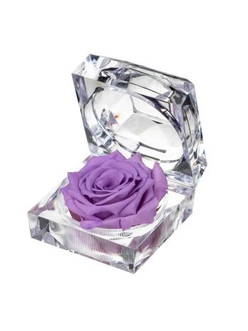 ZZ A TART&Oacute;SR&Oacute;ZSA JEWEL VIO03