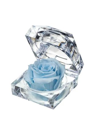 ZZ A TART&Oacute;SR&Oacute;ZSA JEWEL BLU89