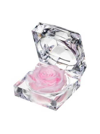 ZZ A TART&Oacute;SR&Oacute;ZSA JEWEL PIN99