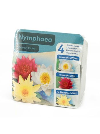 NYMPHEA 3 DB