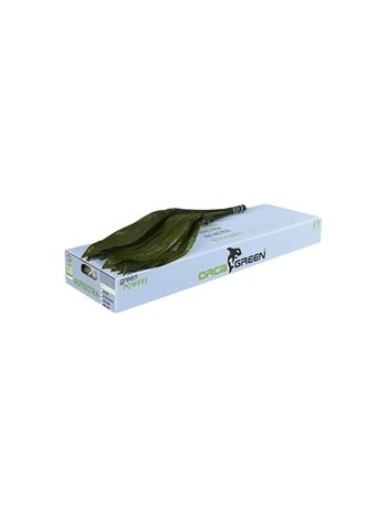 ZO ASPIDISTRA 70CM