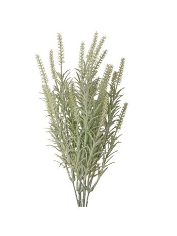 Rozmaring csokor- 45cm magas - Zöld  AF079-01