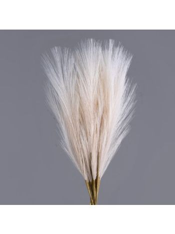 Pampafű köteg- 10 szál- 48cm magas - Bézs