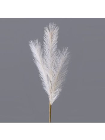 4 ágú pampafű ág- 58cm magas - Ekrü