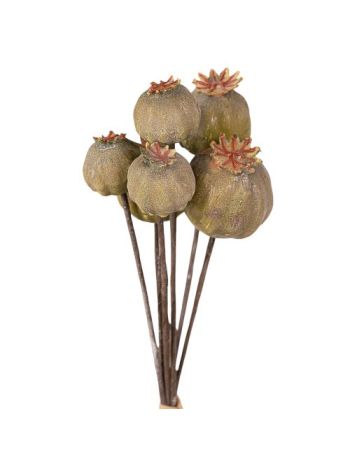 Mák dekor ág köteg- 25cm magas- 6 szál - Zöld