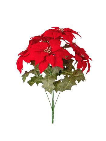 Mikulásvirág csokor- 36cm magas - Piros
