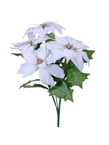 Mikulásvirág csokor- 36cm magas - Fehér