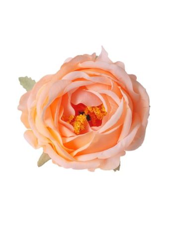 Peonia selyemvirág fej- 10cm -  Pezsgő