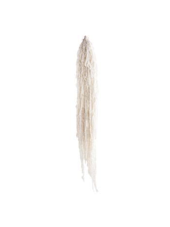 ZVB AMARANTHUS WHITE 3421774004877