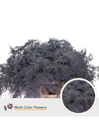 ASP OV KLB H% - GRIJS