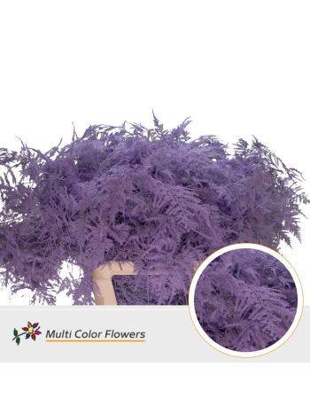 ASP OV KLB H% - MILKA