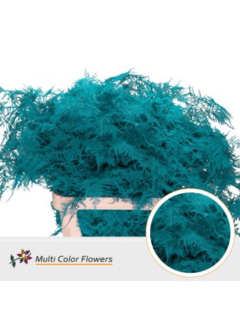 ASP OV KLB H% - TURQUOISE