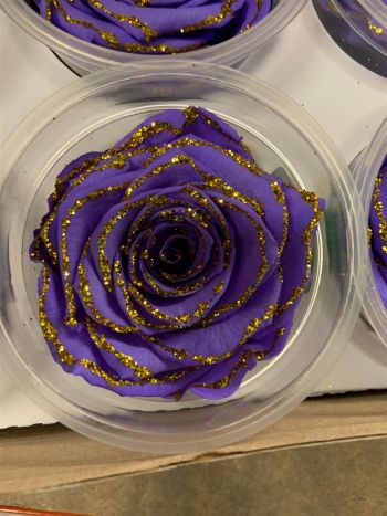 ZZ A TARTÓSRÓZSA XL GLITTER VIO01 GOLD