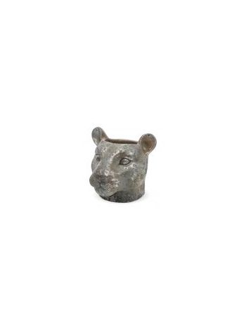cement puma fej z. Ültetés 17cm D127968