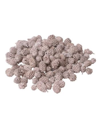 Casurina 15dkg/csom - Fehér tea