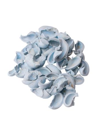 Fül termés 15dkg/csom - Hidegkék