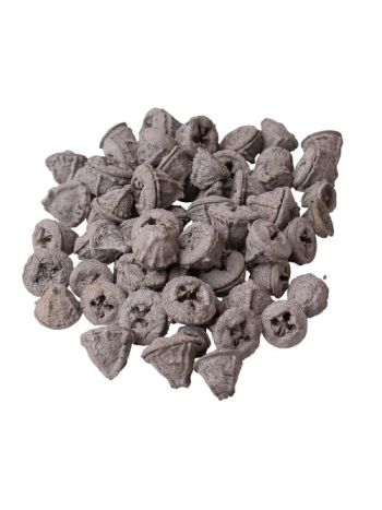 Eukaliptusz termés 15dkg/csom - Hamuszürke
