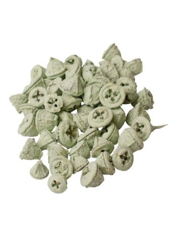Eukaliptusz termés 15dkg/csom - Zsályazöld