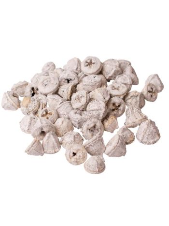 Eukaliptusz termés 15dkg/csom - Fehér tea