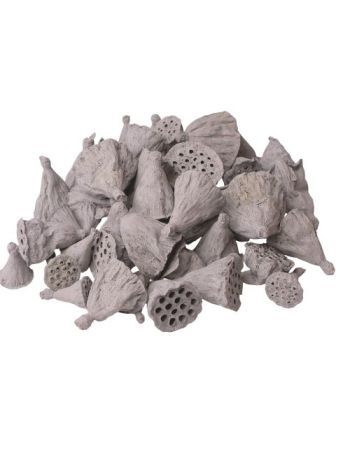 Mini lótusz 1-3cm- 50db/csom - Hamuszürke